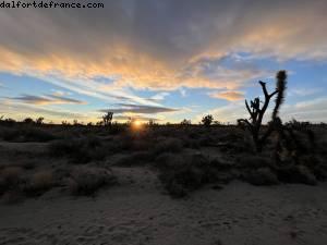 conduite dans le désert de Palm Springs à Las Vegas