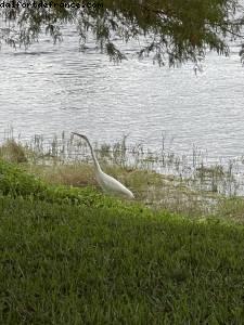 Walking between Epcot and the studios - Walt Disney World - Orlando, Florida