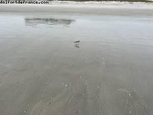 Cocoa Beach, Florida