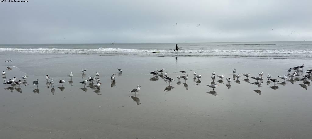 Cocoa Beach, Florida