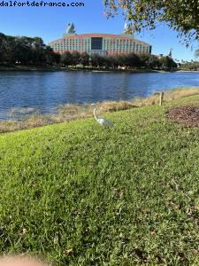 Boardwalk Area - Walt Disney World - Orlando, Florida