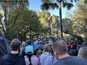 Hotel Early opening - Avatar - Animal Kingdom - Walt Disney World- Orlando, Florida