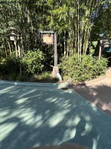 Animal Kingdom - Walt Disney World- Orlando, Florida