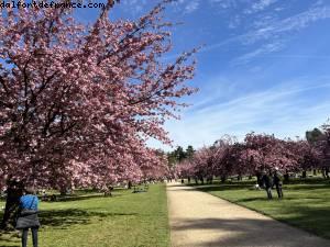 Parc de Sceaux - Sceaux, France