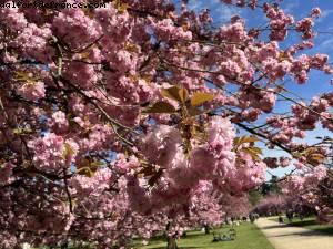 Parc de Sceaux - Sceaux, France
