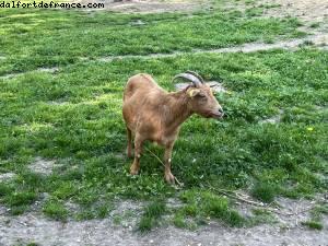 Parc de Corbiere - Le Pecq, France