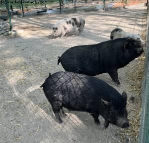Parc de Corbiere - Le Pecq, France