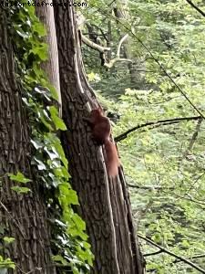 Bois de Vincennes - Paris, France