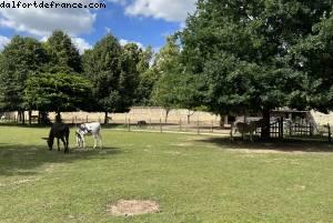 Hameau de la reine - Château de Versaillles, France