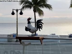 Breakfast Time with sunrise - Hotel Westin - Fort Lauderdale, Florida