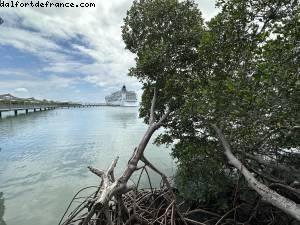 Harvest Caye, Belize - Norwegian Pearl - RSVP Cruise