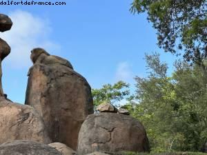 Safari - Disney’s Animal Kingdom - Walt Disney World