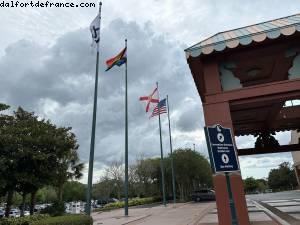 Rainbow Flag @ Swan and Dolphin Hotel - Thank you! - Walt Disney World