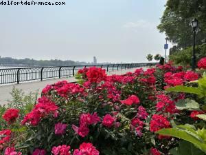 Walking along East River - New York, New York