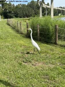 Walking around Seven seas lagoon - Walt Disney World