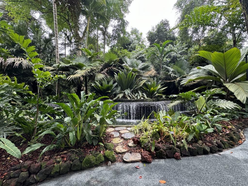 Botanical Garden - Singapore