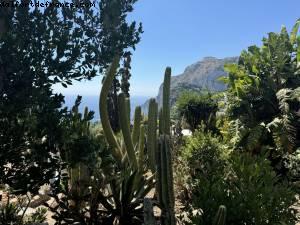 Capri, Italy - Resilient Lady - Atlantis Virgin Athens to Barcelona to London cruise