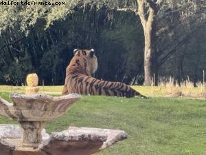 Animal Kingdom - Walt Disney World - Orlando, Florida