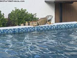 Miami Beach, Florida 