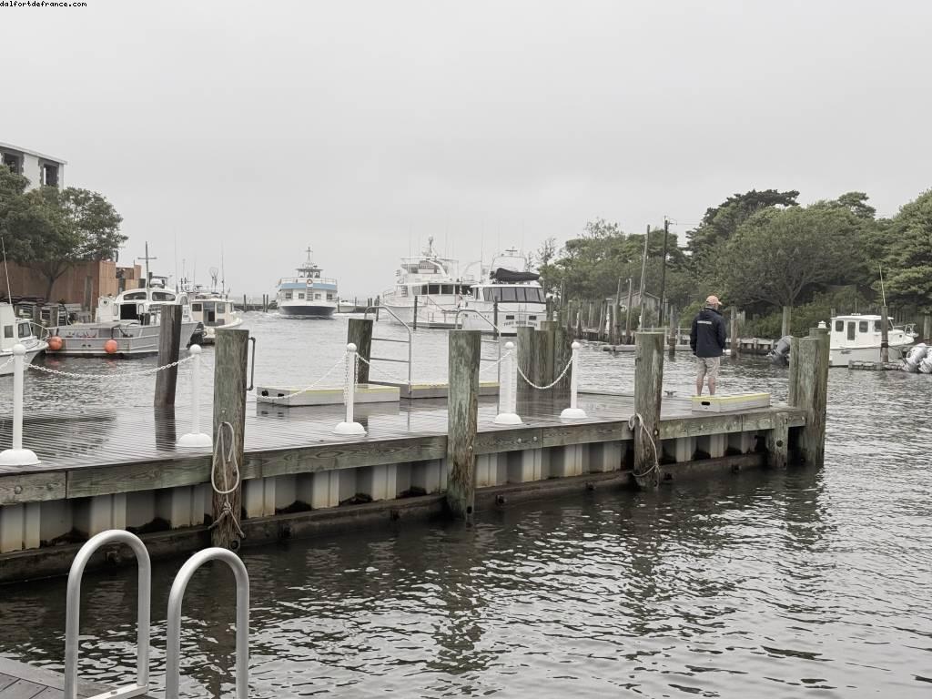 Fire Island , New York