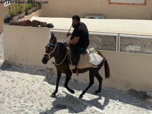 Oia, Santorini - Atlantis Virgin Resilient Lady Cruise