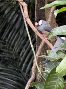 Hong Kong Park - Hong Kong