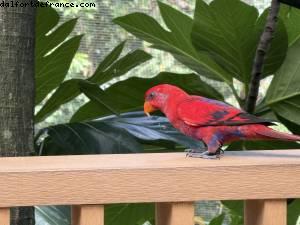 Hong Kong Park - Hong Kong
