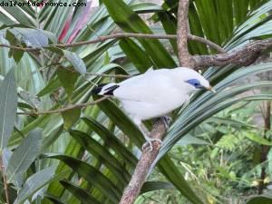 Hong Kong Park - Hong Kong
