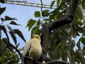 Hong Kong Park - Hong Kong