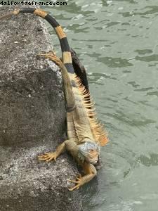 Puerto Limon, Costa Rica - Atlantis Tropical America Cruise